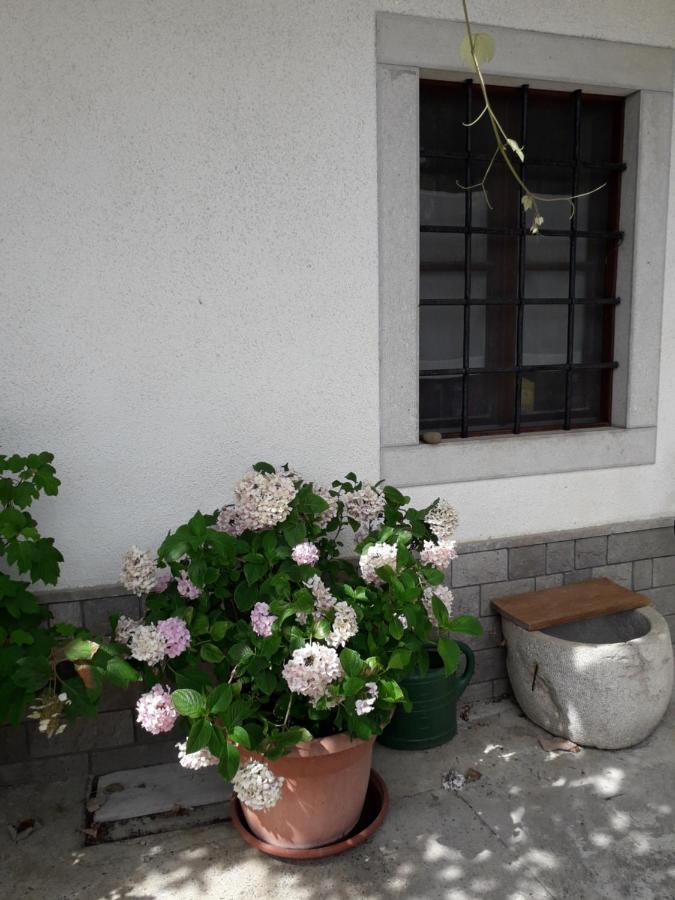 Vidin Raj Apartment Vremski Britof Luaran gambar